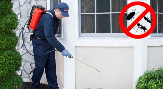 Kalecik Dezenfeksiyon böcek ilaçlama ve haşere kontrolü — ilaclama-tr.com